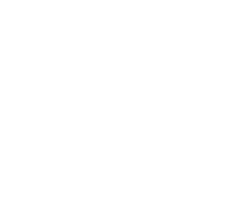 VIC